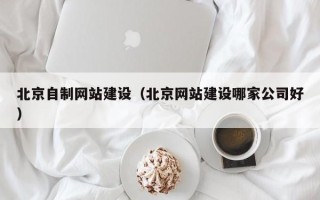 定安北京自制网站建设（北京网站建设哪家公司好）